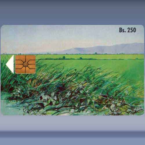 Paisaje N° 1